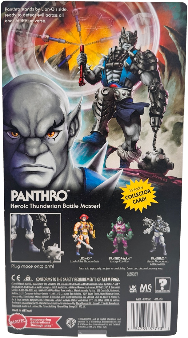 Masters of the Universe Origins & Thundercats Panthro Posable Action Figure, 1980s Crossover Toy, JMJ20