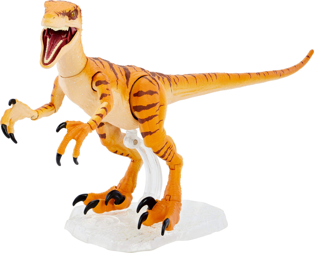 Mattel Jurassic World Toys Amber Collection Tiger Velociraptor 6-in Dinosaur Action Figure, Movie-Authentic Detail, Movable Joints & Figure Display Stand, Collectible Gift 8 Years & Up - image 1