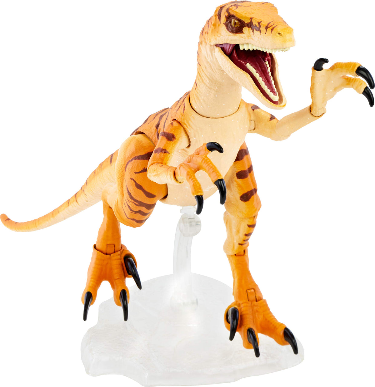 Mattel Jurassic World Toys Amber Collection Tiger Velociraptor 6-in Dinosaur Action Figure, Movie-Authentic Detail, Movable Joints & Figure Display Stand, Collectible Gift 8 Years & Up - image 10