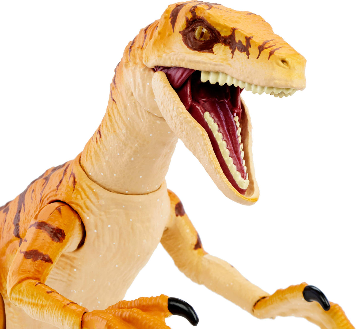 Mattel Jurassic World Toys Amber Collection Tiger Velociraptor 6-in Dinosaur Action Figure, Movie-Authentic Detail, Movable Joints & Figure Display Stand, Collectible Gift 8 Years & Up - image 7